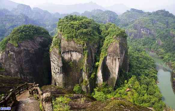 武夷山茶山图片大全-武夷山茶山图片大全欣