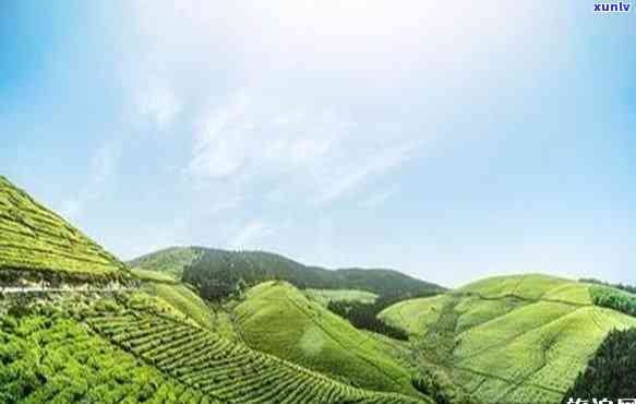 东茶山风景区在哪里，探索东之美：茶山风景区的位置与景点介绍