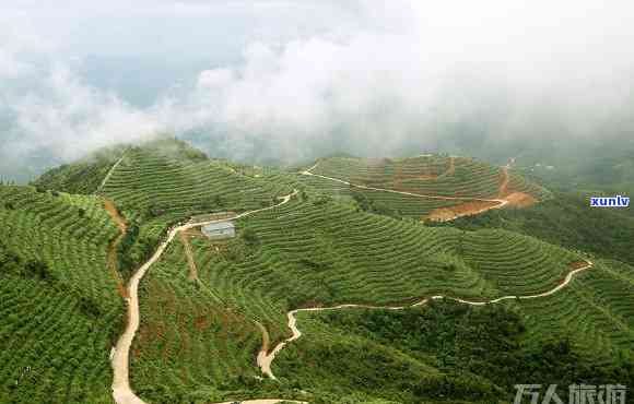 安溪茶山风景区，探秘中国茶乡：安溪茶山风景区的美景与文化