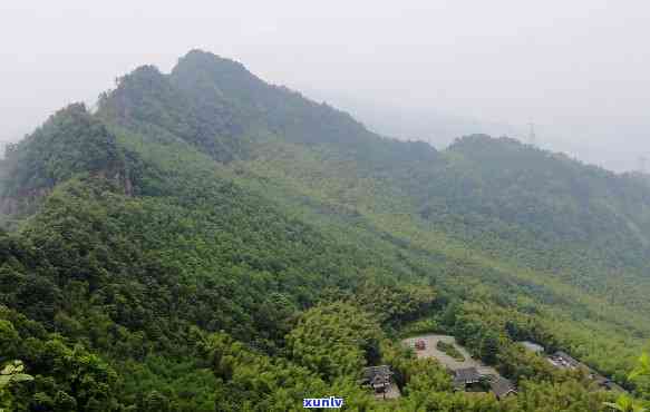 茶山竹海是几级景区？求解！