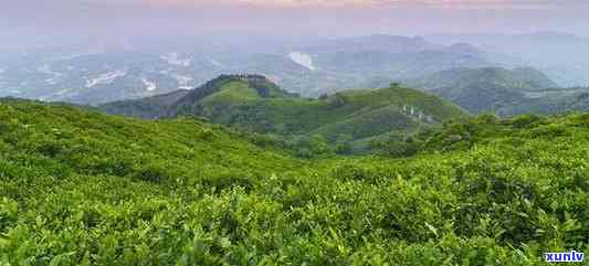 信阳哪里的茶山最美，寻找最美茶山！信阳哪里的茶叶最值得一游？