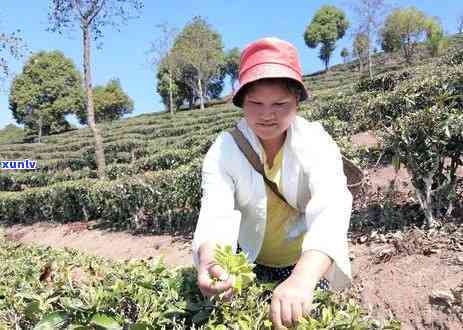 东莞茶山200块的-东莞茶山200块的服务