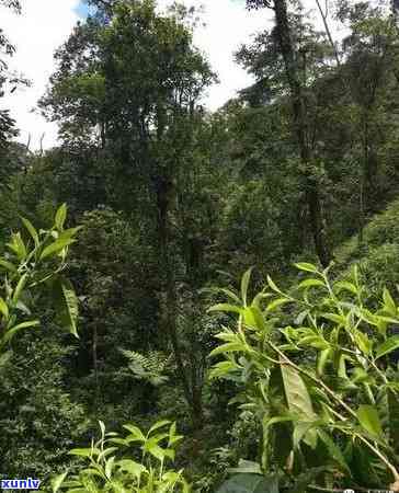 东莞茶山日结工市场地址，寻找东莞茶山的日结工作机会？了解最新的市场地址！