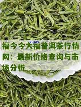 今大福茶行情报价，最新！今大福茶行情报价一览