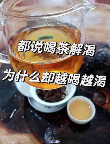 为何喝茶越喝越渴：探讨原因与解决办法