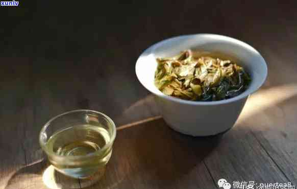 邦东茶区详细山头茶、茶馆及茶叶介绍