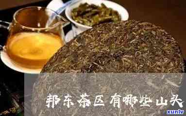 邦东茶区详细山头茶、茶馆及茶叶介绍