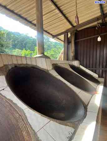 全面熟悉勐腊茶区山头村：详细列表及地理位置