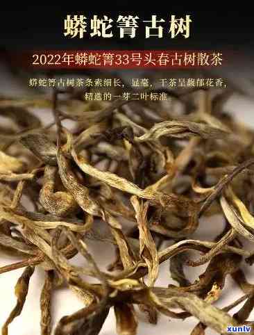 探寻布朗山的秘境：品味卡普洱茶的独特魅力