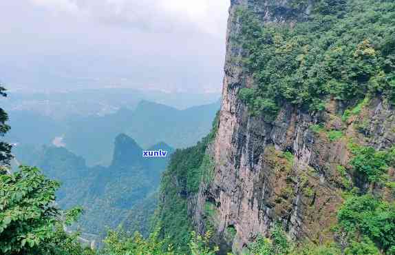 张家界天门山有茶吗-张家界天门山有什么