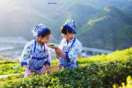 湖北汉家氏黑茯茶-湖北汉家氏黑茯茶价格