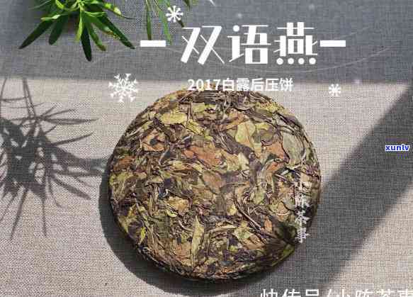 喝茶锁喉是怎样处理-喝茶锁喉怎么解决