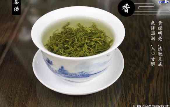 本山绿泡什么茶喝又营养，揭秘搭配！本山绿与哪种茶冲泡最美味且营养丰富？