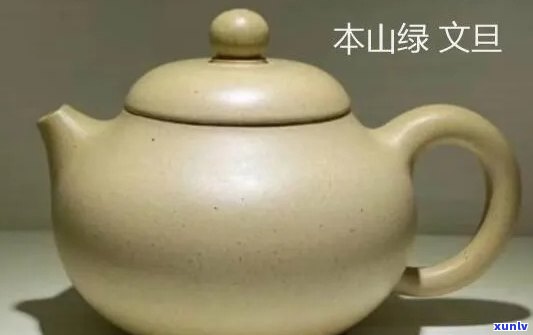 本山绿适合哪种壶型？了解不同壶型的特点与效果