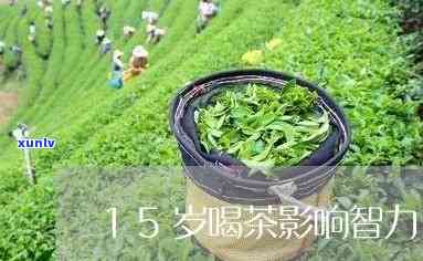 15岁喝茶影响智力-15岁喝茶影响智力吗