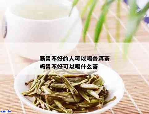 胃不服能喝茶吗？探讨茶叶对胃部的影响