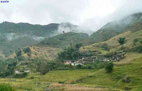 大朝山：所属茶区、景点介绍及实业公司概况