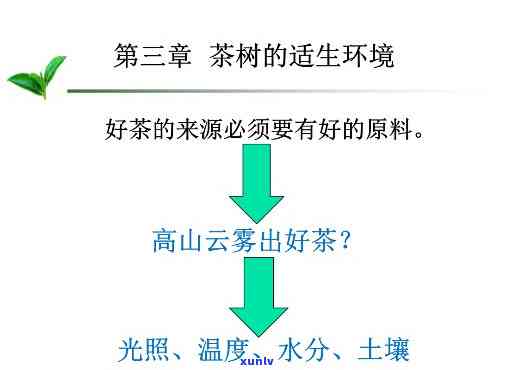 简述茶树的适生环境特点，探究茶树的适生环境特点