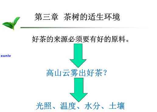 茶树适生环境特点，揭示茶树适生环境特点：气候、土与地理因素的影响