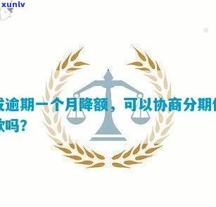 发逾期一个月再还更低款？能协商分期付款吗？逾期一年后还有额度能采用吗？