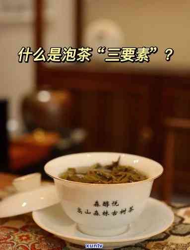 如何泡好一杯茶简答题：三要素详解