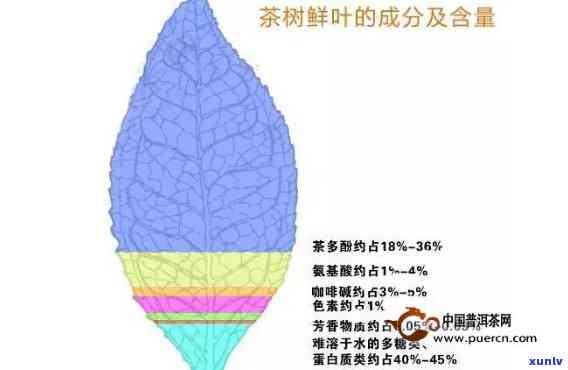 简述茶多酚的组成，探究茶多酚：深入了解其组成的奥秘