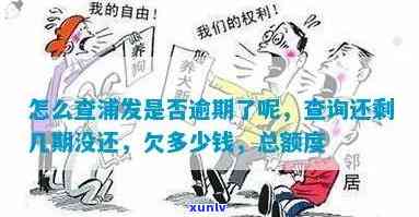 发哪里查逾期-发怎么查总共欠了多少钱