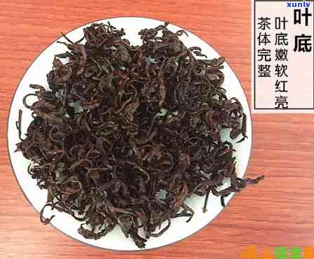 一叶山红茶山系列-一叶山红茶价格