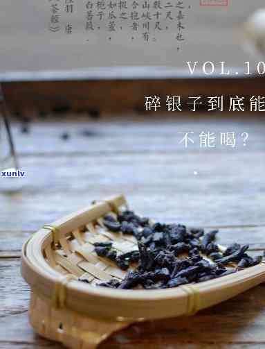 天能不能喝碎银子-天能不能喝碎银子茶