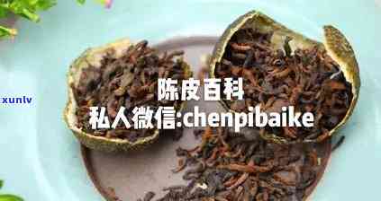 普洱茶的功效与作用，深度解析：普洱茶的神奇功效与多重作用