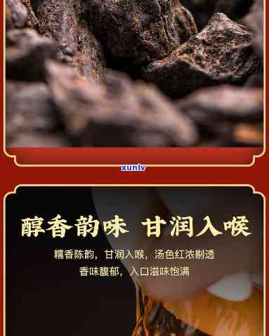 醉然香茶化石怎么样？口感如何，值得一试吗？