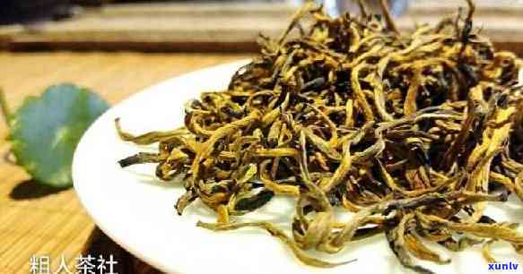 凤庆红茶是普洱茶吗，揭秘：凤庆红茶是否属于普洱茶？