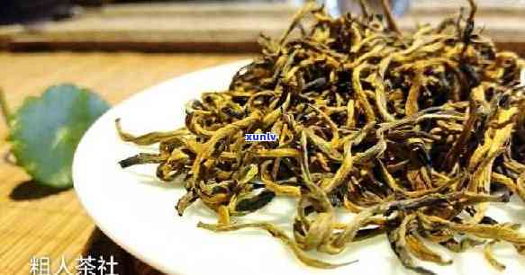 凤庆红茶哪个牌子好-凤庆红茶哪个牌子好喝