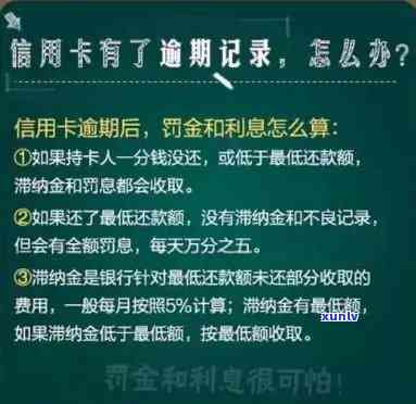 美易卡逾期多少钱会上，逾期还款金额达到多少会出现在美易卡的信用报告中？