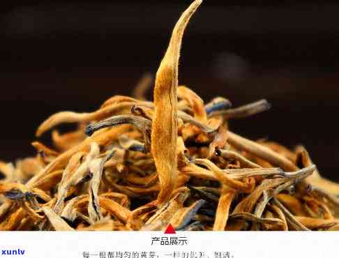 凤庆金芽红茶介绍：特点与价格全解析