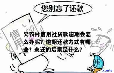 信用社贷款逾期是什么意思，什么是信用社贷款逾期？定义与作用解析