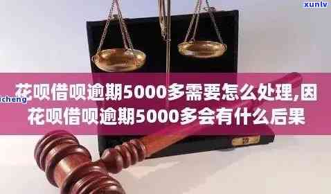 有钱花逾期5000元：长达500多天未还，目前仍欠款4000元