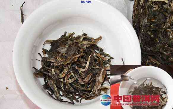 勐库老树茶口感特点-勐库老树茶口感特点介绍