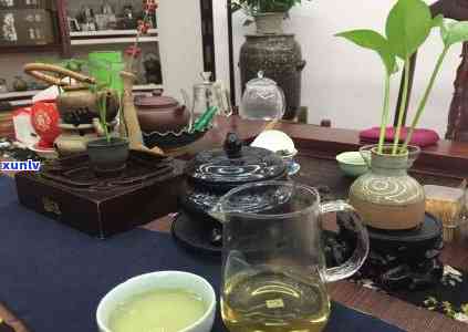 减肥时期可以喝茶吗，探讨减肥期间的饮茶之道：是不是适合饮用？