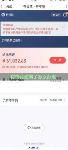 怎样解决有钱花逾期？请提供逾期截图以获取解决方案