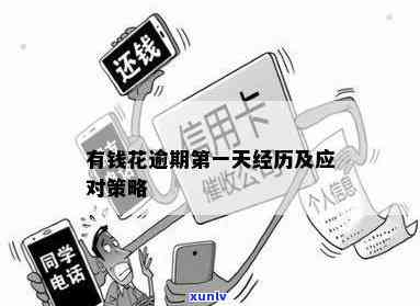 有钱花逾期亲身经历：解决  与结果全解析