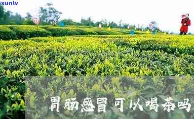 肠胃感冒可以喝茶吗-肠胃感冒可以喝茶吗