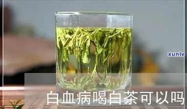 白血病患者能喝茶吗-白血病患者能喝茶吗?