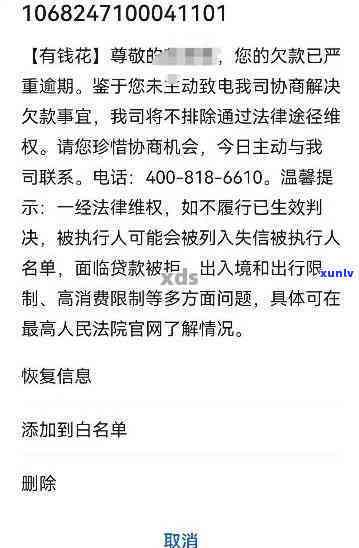 糯种飘绿翡翠手镯图片：天然飘花设计，优雅大气，独特韵味