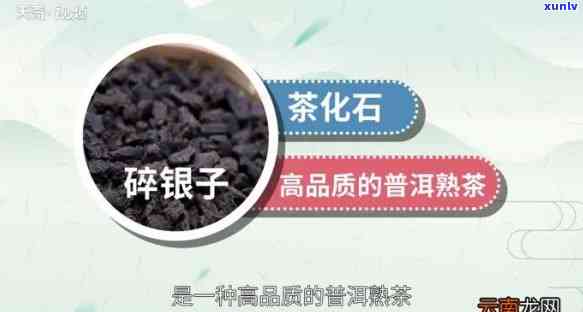 碎银子是什么茶有哪些功效，探秘碎银子茶：了解其功效与品种