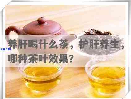 养肝护肝喝茶管用吗，喝茶真的能养肝护肝吗？探讨其科学性与有效性