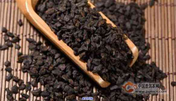 碎银子茶能不能喝一天，一天内可以喝多少碎银子茶？