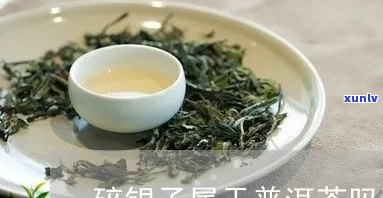 碎银子茶需要煮吗?-碎银子茶需要煮吗