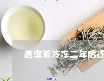 冲泡茶可以冰冻喝吗？会影响口感与营养吗？