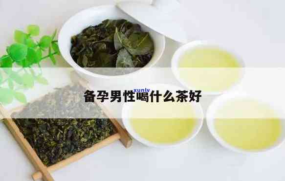 云南普洱四大茶厂名